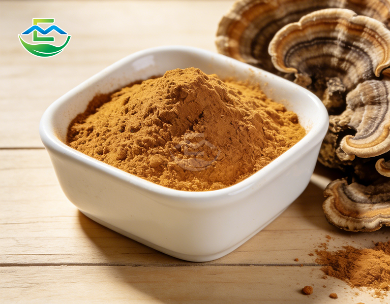 Turkey Tail Mushroom Extract powder